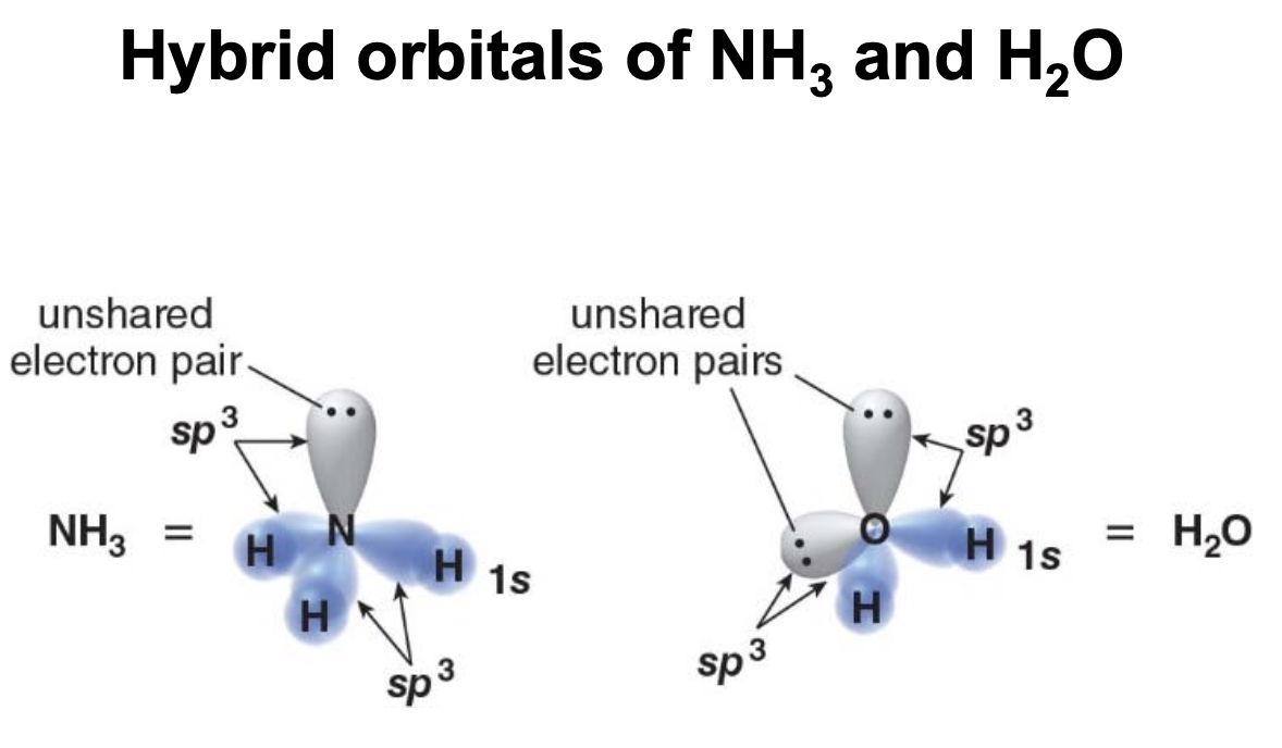 Hybrid oribitals