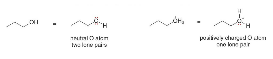 Lone pairs left out